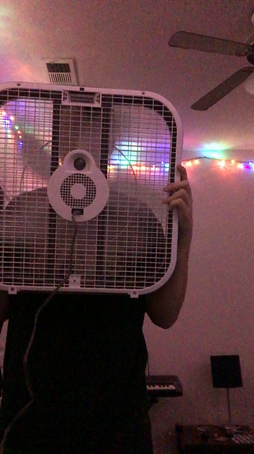 This is my boyfriend Caleb (who lives an hour away) while we were on Face Time. This was the moment when he held a fan and proceeded to say, I am your number one fan.