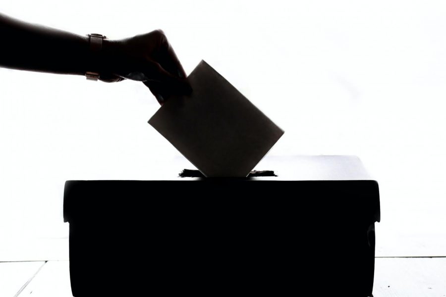A person is seen placing their vote into a ballot box.
