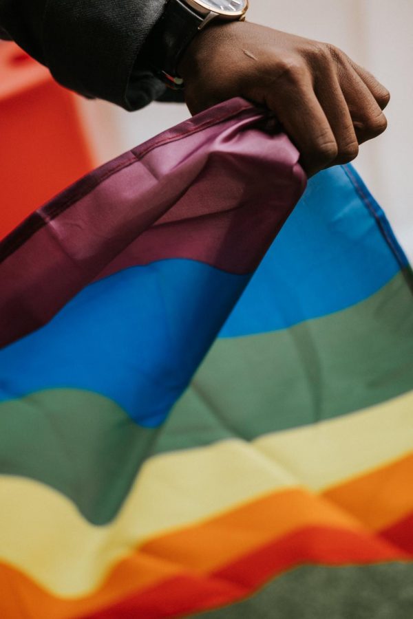 A person is seen holding a pride flag. 

https://www.pexels.com/photo/unrecognizable-african-american-guy-with-pride-flag-during-parade-5721337/