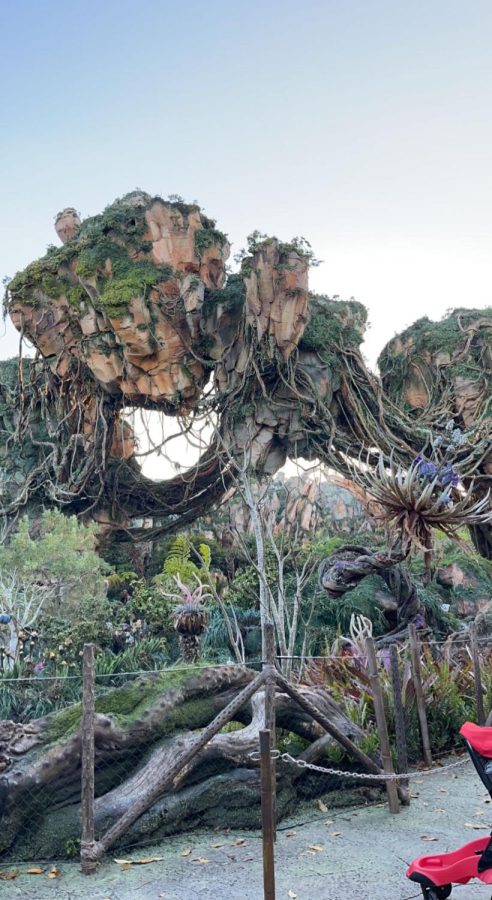 Avatar’s Pandora in Disney World’s Animal Kingdom