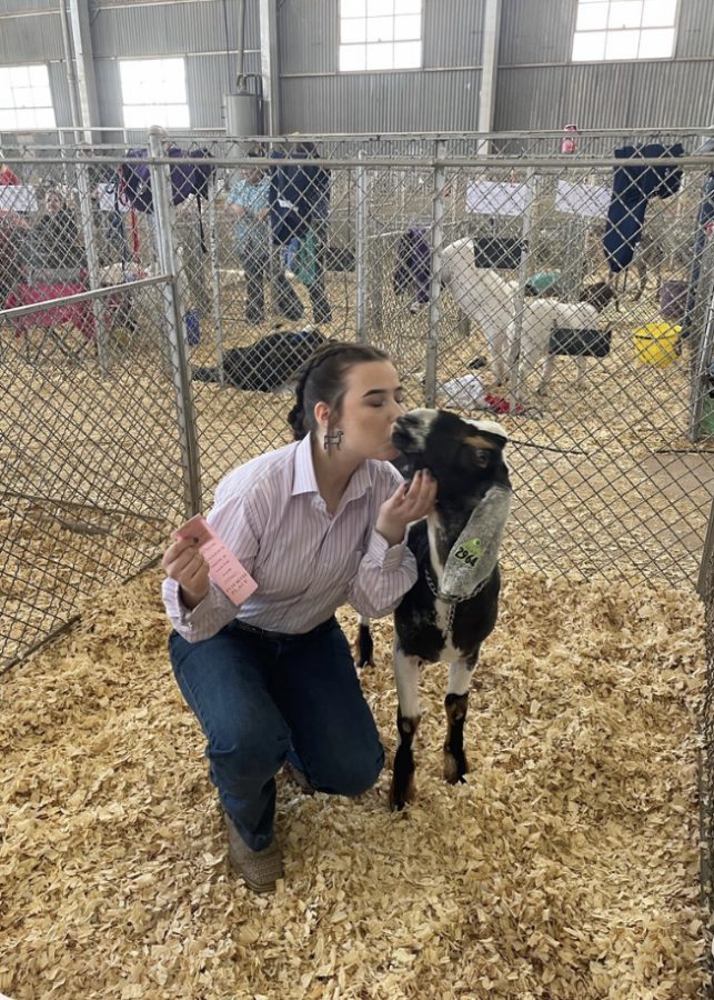 Senior Christiana Pitts with her 4th place goat, Peanut, from the Tarrant County Live Stock Show & Youth Fair last March.