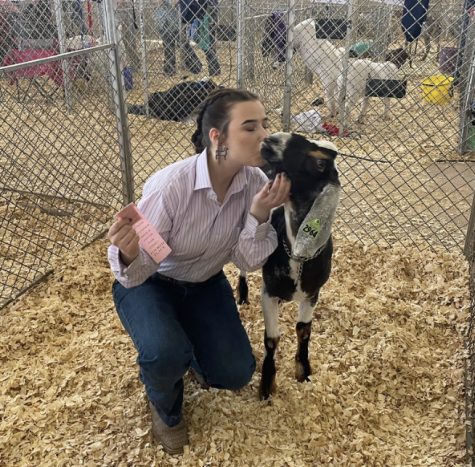 Senior Christiana Pitts with her 4th place goat, Peanut, from the Tarrant County Live Stock Show & Youth Fair last March.