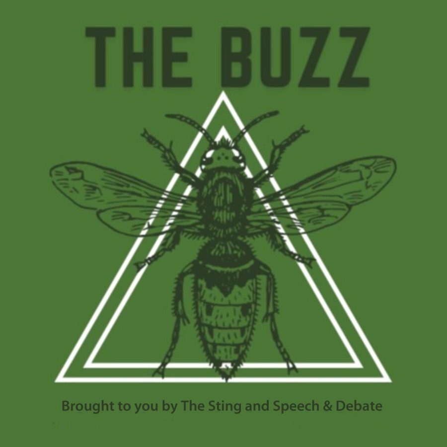 The Buzz Podcast - Episode 3 - November 22