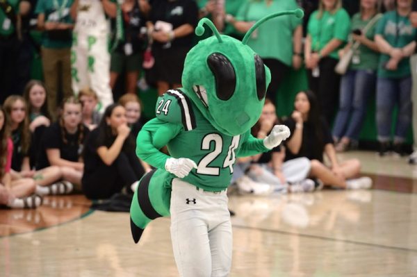 The new Buzzy mascot dances it out at the Oct. 4 pep rally.