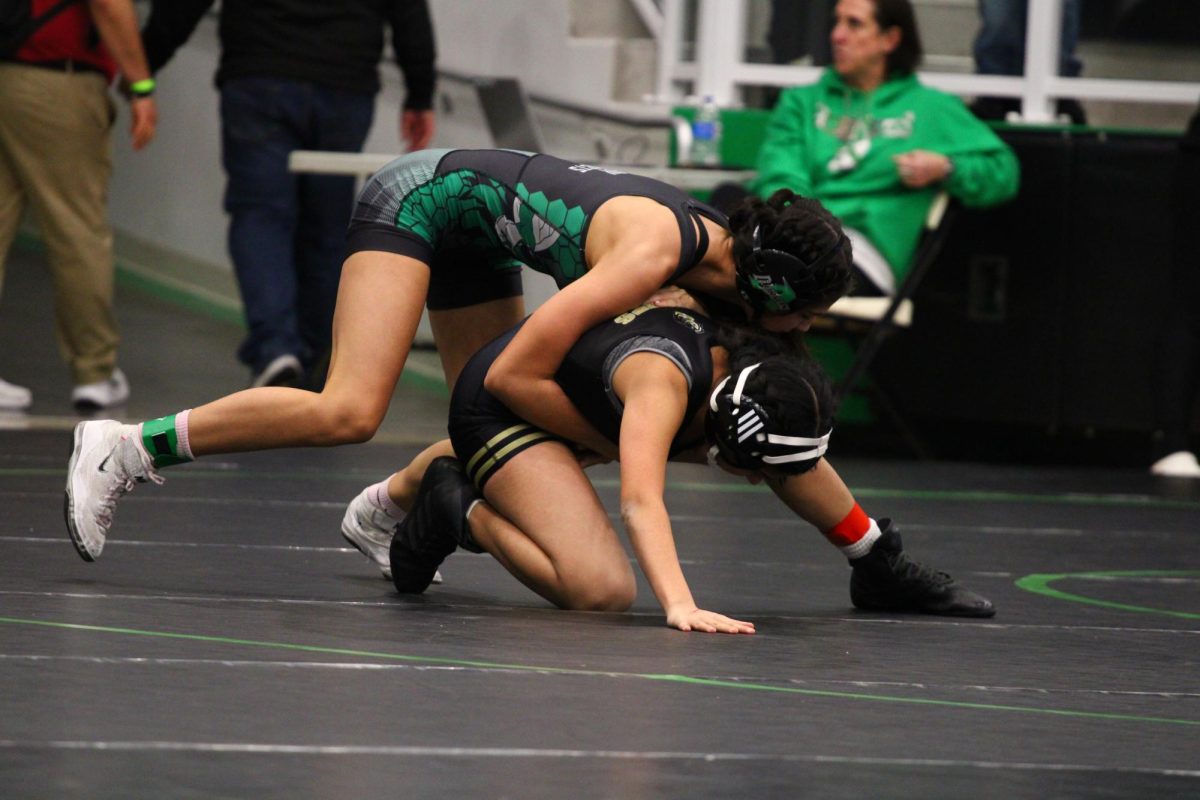 Senior Mariah Dillard attempts to pin an opponent at the district meet.