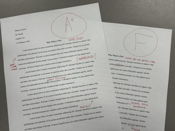 OPINION: Classes should have the same grading policy
